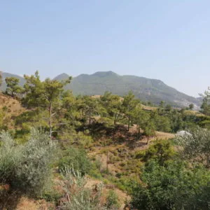 Doğal Üretim Bahçelerimiz Doğal Üretim Bahçelerimiz