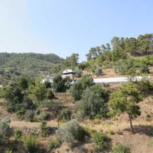 Keçiboynuzu Pekmezi Üretim Tesisimiz Keçiboynuzu Pekmezi Üretim Tesisimiz