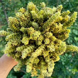 Чай из шалфея 50гр.