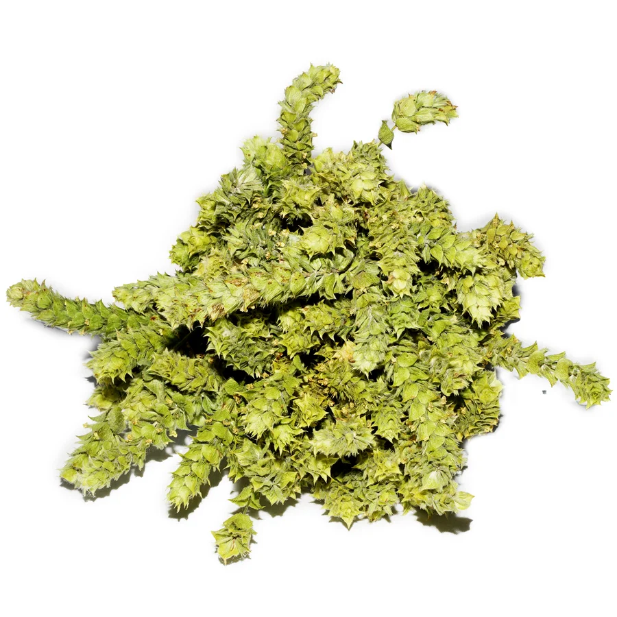 Чай из шалфея 50гр. — изображение 2