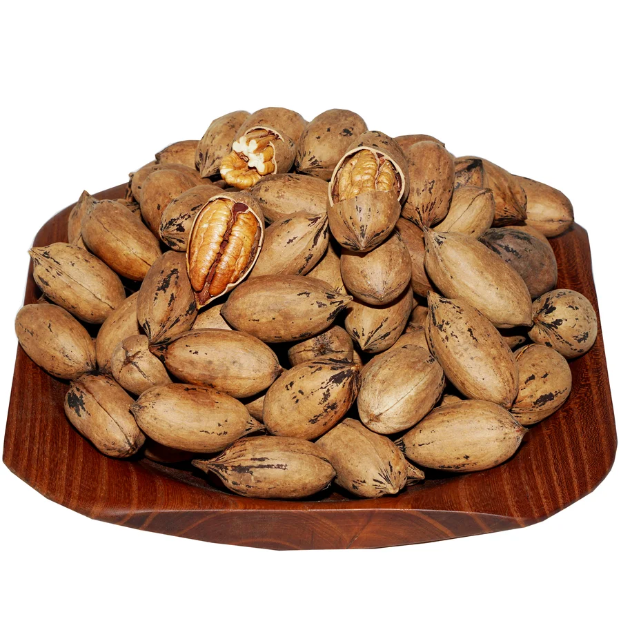 Pikan Cevizi (Kabuklu) 500gr - Görsel 2