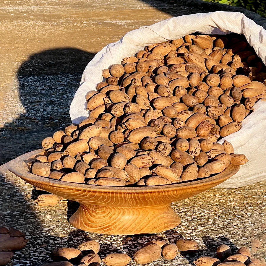 Pikan Cevizi (Kabuklu) 1Kg